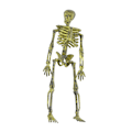 Miniatyrbillede 3 af 4: 3 stk. Halloween Haunted House Lille Skelet Skelet Ornament