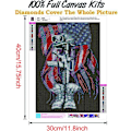 Miniatyrbillede 3 af 5: DIY 5D Diamantmaleri efter nummer Kits Fuld Bor, 12x16 Tommer Am