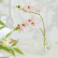 Miniatyrbillede 4 af 5: 2 stk. 5 kunstige phalaenopsis blomster til boligindretning