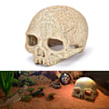 Miniatyrbillede 1 af 5: Halloween simulation menneske kranium skelet statue gotisk bil hjem