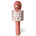 Miniatyrbild 1 av 3: Karaokemikrofon för vuxna och barn