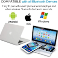 Miniatyrbillede 2 af 3: Bluetooth-hue med kvast sort black