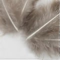 Miniatyrbillede 5 af 5: Påfuglefjer 50 Stykker Naturlige Fjer Håndlavede Håndværk Fjer Bulk til DIY Øreringe Vinger Drømmere Catcher Håndværk Aktiviteter Projekt Bryllup Fest Ho