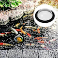 Miniatyrbild 2 av 4: Flytande Dammfiskkupol Display Transparent Skydd Flytande Fiskkupol Akryl Fiskkupol Flytande Skydd