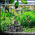 Miniatyrbillede 4 af 5: 1 stk Kreativ akvarie dekoration landskab harpiks stenhave akvarium simulering harpiks stenhave  style43