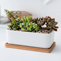 Pikkukuva 4 / 4: 1 Set Keramiikka Soikea Kukkaruukku Bambutarjotin kanssa Mehikasvien Istutusastia Puutarha Bonsai Ruukku Kukkaruukku Valkoinen (1 kpl Kukkaruukku 1 kpl Bambutarjotin)