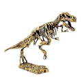 Miniatyrbillede 1 af 4: Dinosaur Skelet Knoglemodel Legetøj Børn Læring Uddannelsesmæssige Legetøj (Akantor)