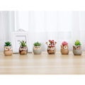 Miniatyrbillede 5 af 5: 6 stk. Ugle Keramik Sukkulente Plantepotter med Drænhul, Flowi