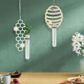 Miniatyrbild 5 av 5: Väggmonterad Blomvas Glas Hydroponisk Planteringsbehållare Heminredning (C)