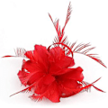Miniatyrbilde 1 av 3: Fascinatorer for kvinner Bryllupsfascinator Hatt Blomst Mesh Fjær Hodebånd QB-Rød