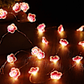 Pikkukuva 5 / 5: 30 LED-vaaleanpunainen kirsikkapuuvalosarja, USB- ja paristokäyttöinen, s
