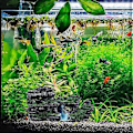 Miniatyrbillede 4 af 5: 1 stk Kreativ Akvarium Dekoration Landskab Harpiks Stenhave Akvarium Simulation Harpiks Stenhave  Style40