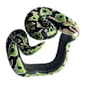 Miniatyrbilde 2 av 5: Nyhet Simulering Slange Armbånd, Skummelt Dyremodell Håndleddsbånd, Morsomme Leker for Barn til Fest Halloween Lek (Grønn Python)