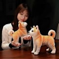 Miniatyrbillede 5 af 5: 25/30cm Realistisk Akita Hund Plyslegetøj Udstoppede Livagtige Shiba Inu Hundehvalpe D(30CM liggende med halsbånd)