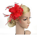 Miniatyrbilde 2 av 3: Fascinatorer for kvinner Bryllupsfascinator Hatt Blomst Mesh Fjær Hodebånd QB-Rød