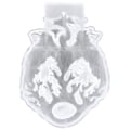 Miniatyrbillede 1 af 2: Dyre Silikoneform Dyre Silikoneform Silikone Støbeform Epoxy Silikone DIY Form
