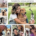 Miniatyrbillede 5 af 5: Universal Selfie Stick til Mobiltelefon med Hund, Klem dit kæledyrs yndlingsmad fast for at tiltrække kæledyrets opmærksomhed, Selfie-værktøj til kæledyr (Sort)