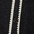 Miniatyrbild 5 av 5: Mode Single-breasted Tassel Scarf Kavaj Fritids Tjock Långärmad Kavaj för Höst Vinter (S Svart eller Vit)