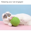 Miniatyrbilde 4 av 5: Katt Kibble Kløball Kaktus Katt Kløbrett Trening Kattunge