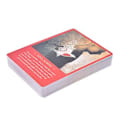 Pikkukuva 5 / 5: The Spirit Messages Daily Guidance Oracle Deck Tarot-kortit Patry Peli