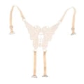 Miniatyrbillede 4 af 5: Justerbare, sexede skulderstropper til dame-bh med blonde sommerfugle til kjole og fest (Beige)