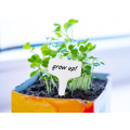 Miniatyrbillede 5 af 5: 100 stk. plantetiketter frøplantetiketter grøntsagshave plantning W