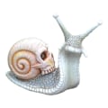 Pikkukuva 1 / 5: Halloween-kallokotilo, kalloveistos, kodin sisustuksen hartsikoristeet O