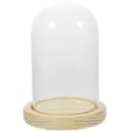 Miniatyrbilde 1 av 4: Tørket Blomst Display Base Med Glasskuppel Preservert Blomst Display Holder Transparent Utstillingsstativ