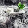 Miniatyrbillede 5 af 5: Fong Blødt Moderne Indendørs Shaggy 4x6.6 Tæppe Til Soveværelse Stue Kollegieværelse Børneværelse Hjem Dekorativt, Skridsikkert Plys Blødt 2.6 x 5.2 Ft. Mørkegrå