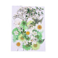 Miniatyrbillede 1 af 5: Tørrede Blomster Kit DIY Trykte Blomster Tørrede Håndværk Ægte Blomster Bogmærke Blomster Dekoration (Grøn Hvid)