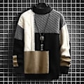 Miniatyrbilde 3 av 5: Hettegenser for menn med fargekombinasjon, lange ermer, preppy stil, delikat tekstur, varm, polyester, krympefri, høst, casual strikk (M Aprikos)