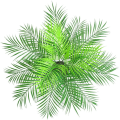 Miniatyrbilde 4 av 5: Kunstig tropisk palmeblad plante i grønn 1 stk - Plastplan