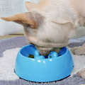 Miniatyrbillede 3 af 5: S Anti-Gluttonous Skål til Hunde og Katte, Skridsikker Foderskål T