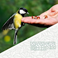 Pikkukuva 5 / 5: Wildlife Friend Riippuva Lintujenruokinta - Ulkoilma Lintujenruokinta