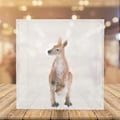 Miniatyrbilde 3 av 4: 1 stk. Akryl Displayboks Transparent Oppbevaringskasse Støvtett Oppbevaringsutstillingsboks