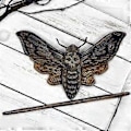 Miniatyrbilde 3 av 5: Halloween Punk Skull Hårklipp Halloween Hårklipp Skadede Butterfly Hode Hårklipp Hodeplagg Retro Plast Harpiks Raven Wing Hårtilbehør (B03 metall)