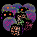 Miniatyrbillede 1 af 5: 50 stk. Glow In The Dark Fluorescerende Balloner til Polka Dot Them