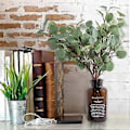 Miniatyrbillede 4 af 4: 6 stk. kunstige sølv eukalyptusgrene spray eukalyptusblad til planter fra ferie, fest, bryllup, have, hjem, kontor, udendørs og indendørs