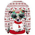 Miniatyrbild 2 av 3: Jultryckta Partröjor för Kvinnor och Män Långärmad Pullover Jumper Julparty Nyhet Toppar Semesterpresent (L C)