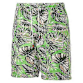 Miniatyrbillede 1 af 3: Mænd Hawaii Blomsterprint Shorts Sommer Strand Ferie Kort Bukser V (4XL Grøn)