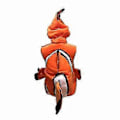 Pikkukuva 2 / 5: Halloween- ja joulujuhliin Finding Nemo -klovnikala lasten asu - JA(M(90-110CM) keltainen)