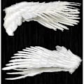 Miniatyrbillede 5 af 5: Englevinger Fjedervinger Med Elastiske Stropper Halloween Kostume Vinger-r (S Hvid)