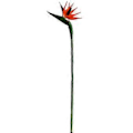 Miniatyrbilde 1 av 5: 1 stk 21,8 tommer Stor Elegant Paradisfugl Kunstig Blomst for Hjem Kontor ( )