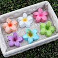 Miniatyrbillede 3 af 5: Hawaiian Flower Hårclips til Kvinder 6 Pakke Blomster Hårclips Plumeria Hårclips til Tyndt Hår Store Hårclips til