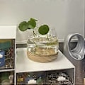 Miniatyrbillede 4 af 4: Glasvase Blomsterarrangement Dekoration Vandplanter Hydroponiske Varer Skrivebords Akvarium (A)