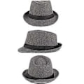 Miniatyrbild 3 av 5: Vattentät Filt Jazzhatt Trilby Hatt Hopfällbar Retro Stil  Rullade Kanter Mjuka Kepsar Plommonstop Mörkgrå