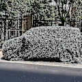 Miniatyrbild 4 av 5: Kamouflage Nät Solskydd Kamouflage Nät Persienner Patio Mesh Nät för Camping Skytte Jakt-WELLNGS White 3m by 3m