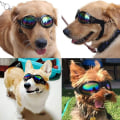 Miniatyrbillede 4 af 4: Hunde briller justerbar rem briller til rejser skiløb vandtæt UV-beskyttelse til hunde (sort) hud