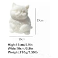 Miniatyrbillede 4 af 5: Fed Cat Squishies Legetøj, Stor Cat Squishies Legetøj - WELLNGS D