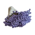 Pikkukuva 4 / 5: Bouquet-peittovirkkaussetti Virkkausaloituspakkaus Bouquet-lahjakäsitöihin Käsintehty DIY-askarteluneulesetti harrastajille aikuisille - WELLNGS Purple White